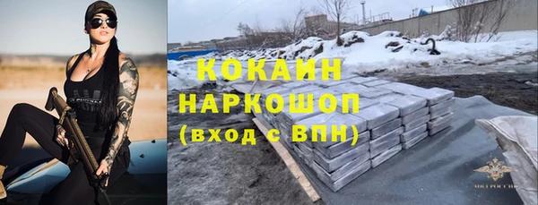 гашик Алексеевка