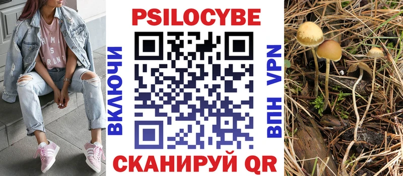 сколько стоит Арзамас darknet официальный сайт Псилоцибиновые грибы MAGIC MUSHROOMS