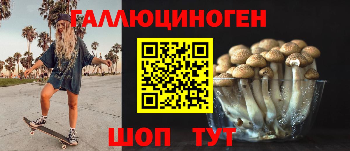 Псилоцибиновые грибы Psilocybine cubensis Арзамас